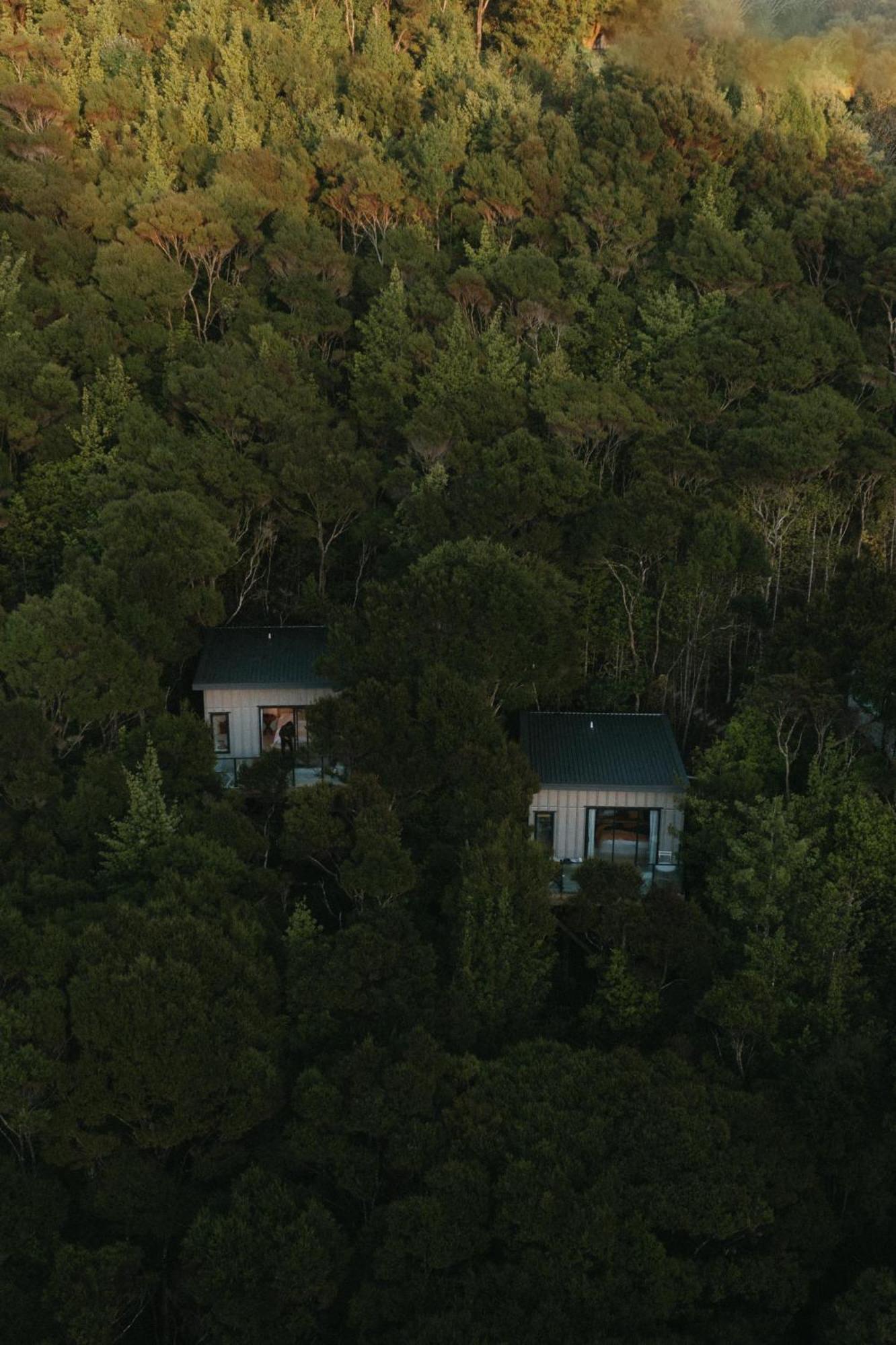 Treehouse Hideaway At Rekindle Tree Houses Opua Zewnętrze zdjęcie